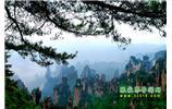【純玩獨(dú)立成團(tuán)線(xiàn)路1】張家界、袁家界、天子山、寶峰湖/黃龍洞二晚三日