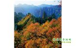 長沙往返張家界、天子山、寶峰湖/黃龍洞三日游