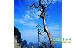 湘西之旅：張家界、天子山、寶峰湖/黃龍洞、鳳凰古城、猛洞河漂流、天門山六日游