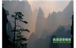 張家界國家森林公園、寶峰湖/黃龍洞、鳳凰古城、三峽八日游
