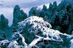 【純玩散拼線路17】張家界、天子山、芙蓉鎮(zhèn)、猛洞河漂流、鳳凰古城三晚四日游