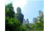 【純玩拼團(tuán)線路 張家界出發(fā)A2線】張家界、袁家界、天子山、金鞭溪、鳳凰古城2晚3日游